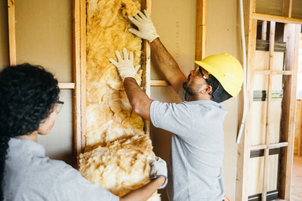 Best Fiberglass Insulation  in Bellmead, TX